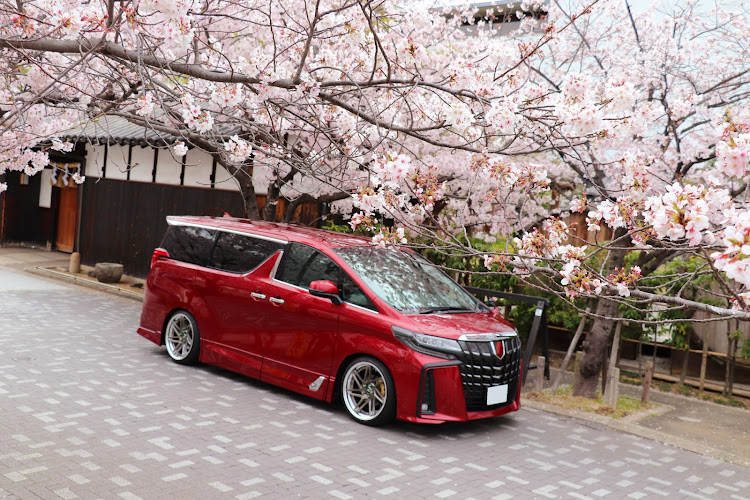 アルファードのダークレッドマイカメタリック・桜とコラボ・サクラと愛車・朝桜・夜桜に関するカスタム事例の投稿画像3枚目