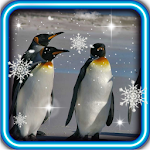 Pinguin live wallpaper Apk