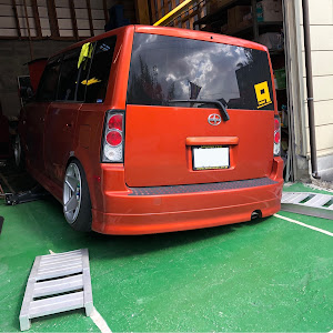 bB NCP31