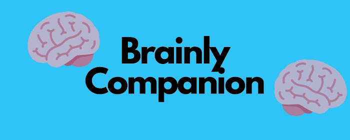 Brainly-Companion (deprecated) marquee promo image