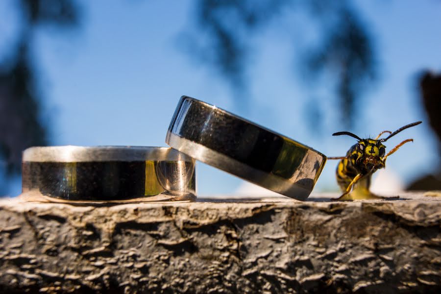 Fotógrafo de casamento Natalja Van Ommeren (natalja). Foto de 25 de fevereiro 2019