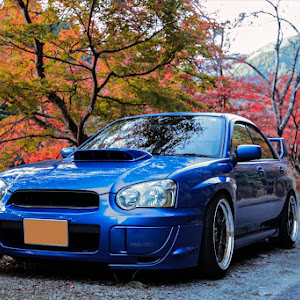 インプレッサ WRX STI GDB