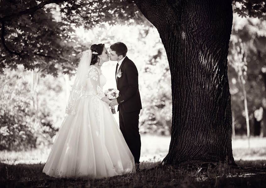 Fotografo di matrimoni Nikolay Stolyarenko (stolyarenko). Foto del 12 maggio 2016