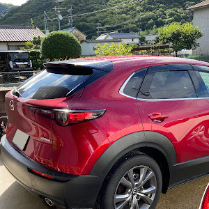 CX-30