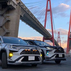 RAV4 MXAA54