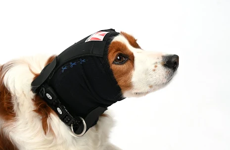 BUSTER Ear Cover ronskydd, 2XL, 1 st