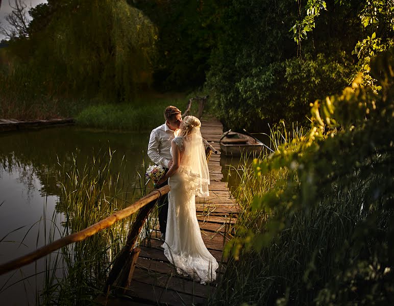 Wedding photographer Aleksandr Khmelevskiy (salaga). Photo of 30 June 2015