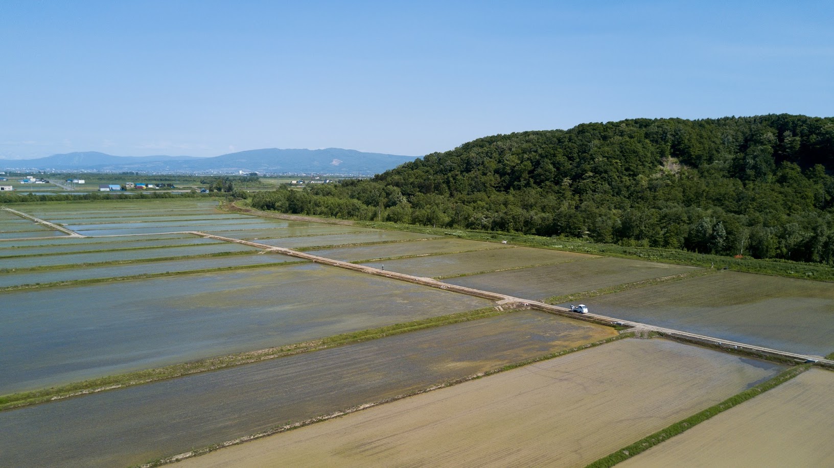 北竜町三谷地区・寺内ドローン空撮