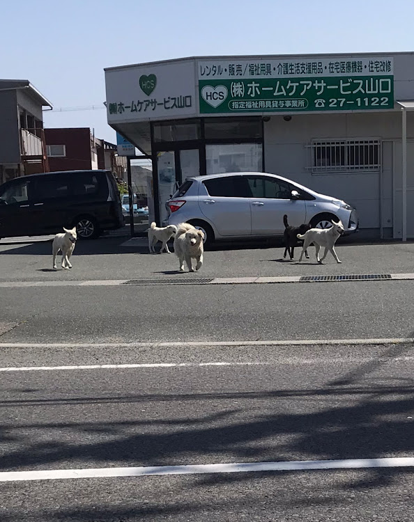 の投稿画像4枚目