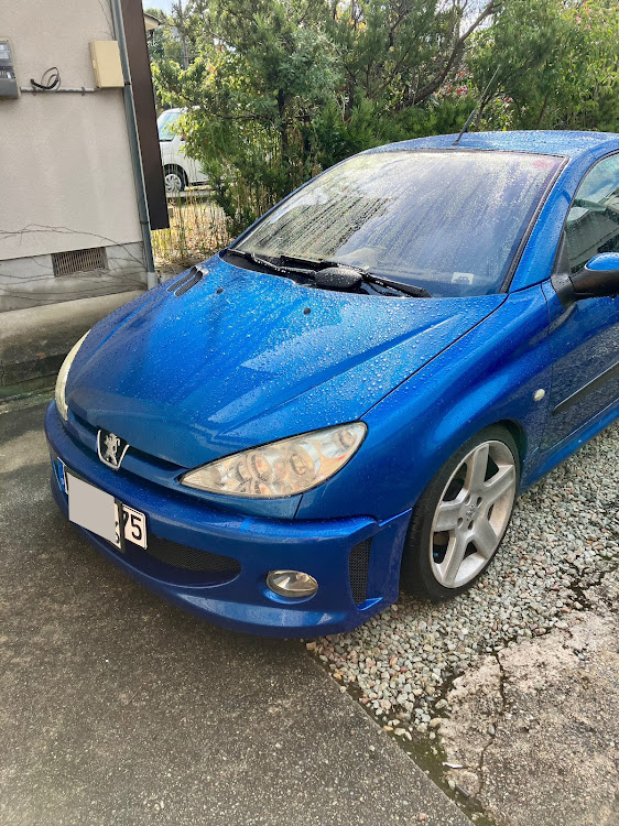 206の雨の日の翌日は・洗車だよねー・洗車グッズ紹介・ブロワーで吹き飛ばしに関するカスタム事例の投稿画像1枚目