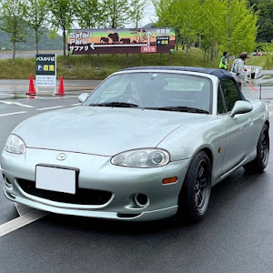 ロードスター NB6C