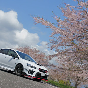 WRX S4 VAG