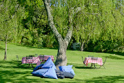 Sloping lawns and shady trees set the scene for a tranquil picnic at Hartenberg.