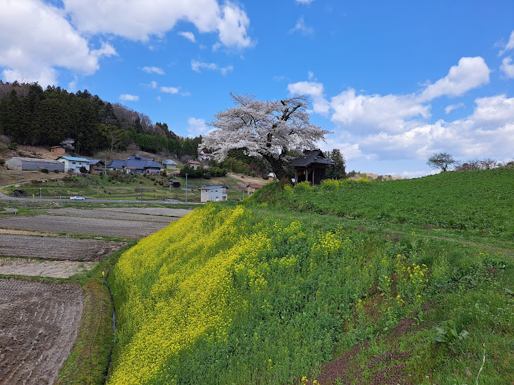 フェアレディZのz project japan・Z33・ツーリング・桜・z32に関するカスタム事例の投稿画像40枚目