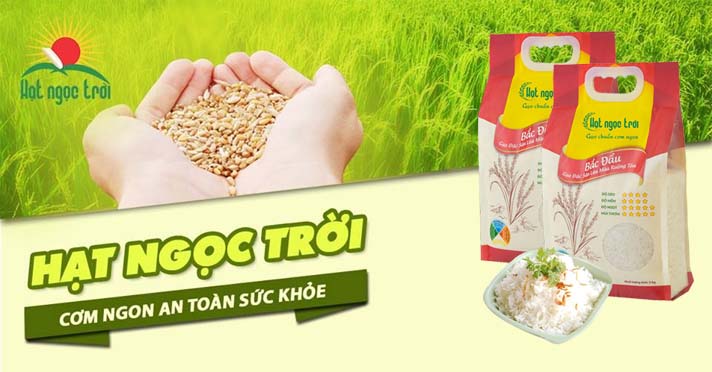 Gạo hạt ngọc trời bắc đẩu