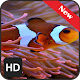 Download Wallpaper Fish For PC Windows and Mac 1