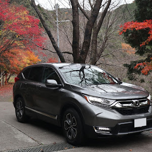 CR-V RW1