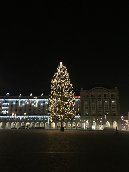 Рождественский декабрь, Шварцвальд и еще немного