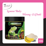 Thức Ăn Iguana Baby Vị Chuối - Rồng Nam Mỹ Baby Vị Chuối Từ Mới Nở Đến 9X