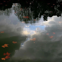 #firenze #italy #riflessi   #acqua #viaggi di 