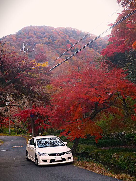 シビックタイプRの12月もよろしくお願いします・紅葉🍁散策ドライブ・写活トレーニングに関するカスタム事例の投稿画像2枚目