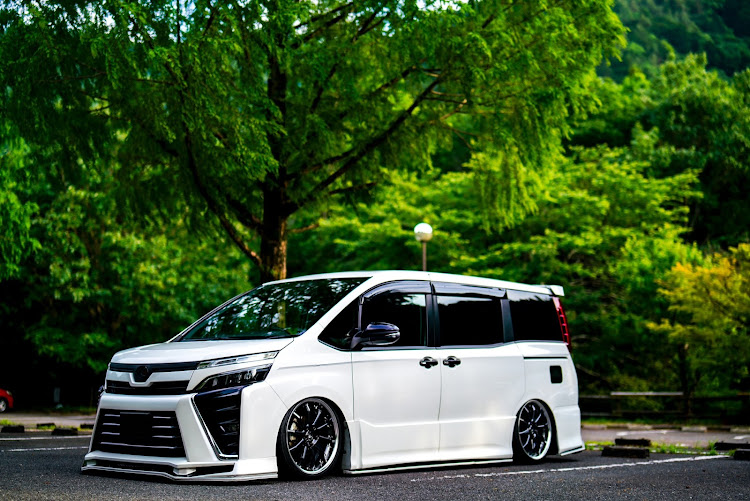 ヴォクシーの新緑と愛車・６月もよろしくお願いします・メタセコイア・メタセコイヤ・お題の提出に関するカスタム事例の投稿画像1枚目