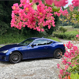 BRZ ZC6