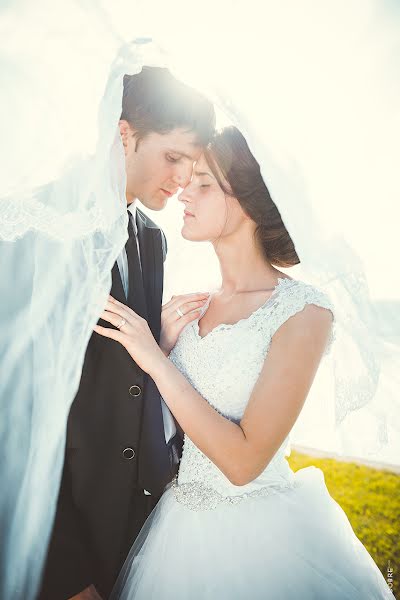 Photographe de mariage Dobrecova Alla (dobretsova). Photo du 15 février 2016