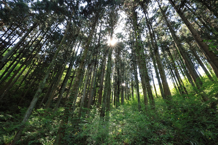 ゴルフGTIの連休なにした？・GWの思い出・川場田園プラザ・5月もよろしくお願いします・膝が痛いに関するカスタム事例の投稿画像17枚目