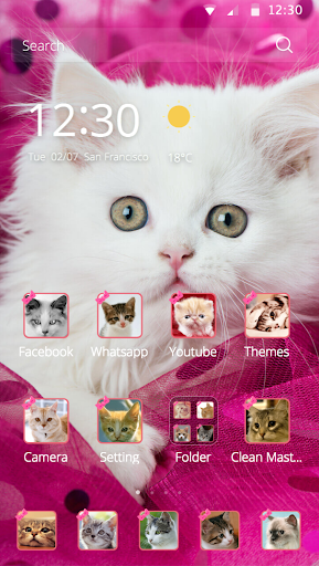  2021 Pink Persian  white Cat  theme android App Download 