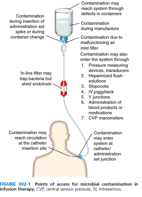 BLOODSTREAM definition and meaning