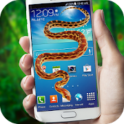 Snake in Screen Prank  Icon