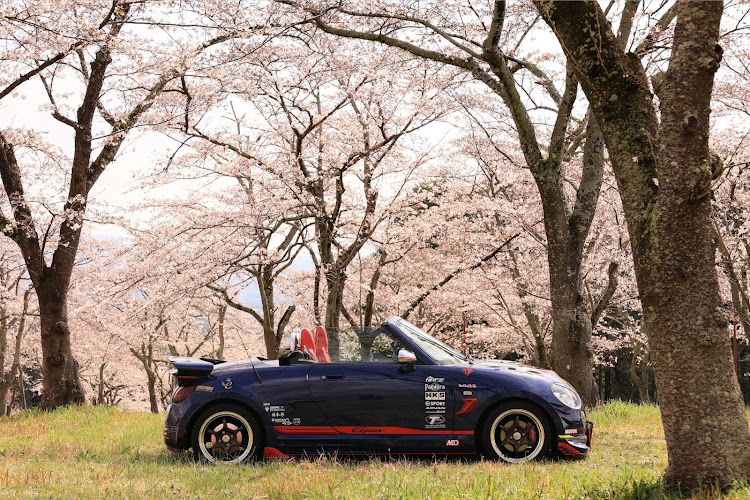 コペンの桜と富士🗻🌸・サクラと愛車・桜シーズン開幕・オープンカーのある景色に関するカスタム事例の投稿画像2枚目