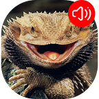 Reptile Sounds logo