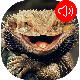 Reptile Sounds