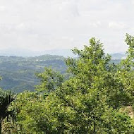 山水居休閒農場 •客家餐廳