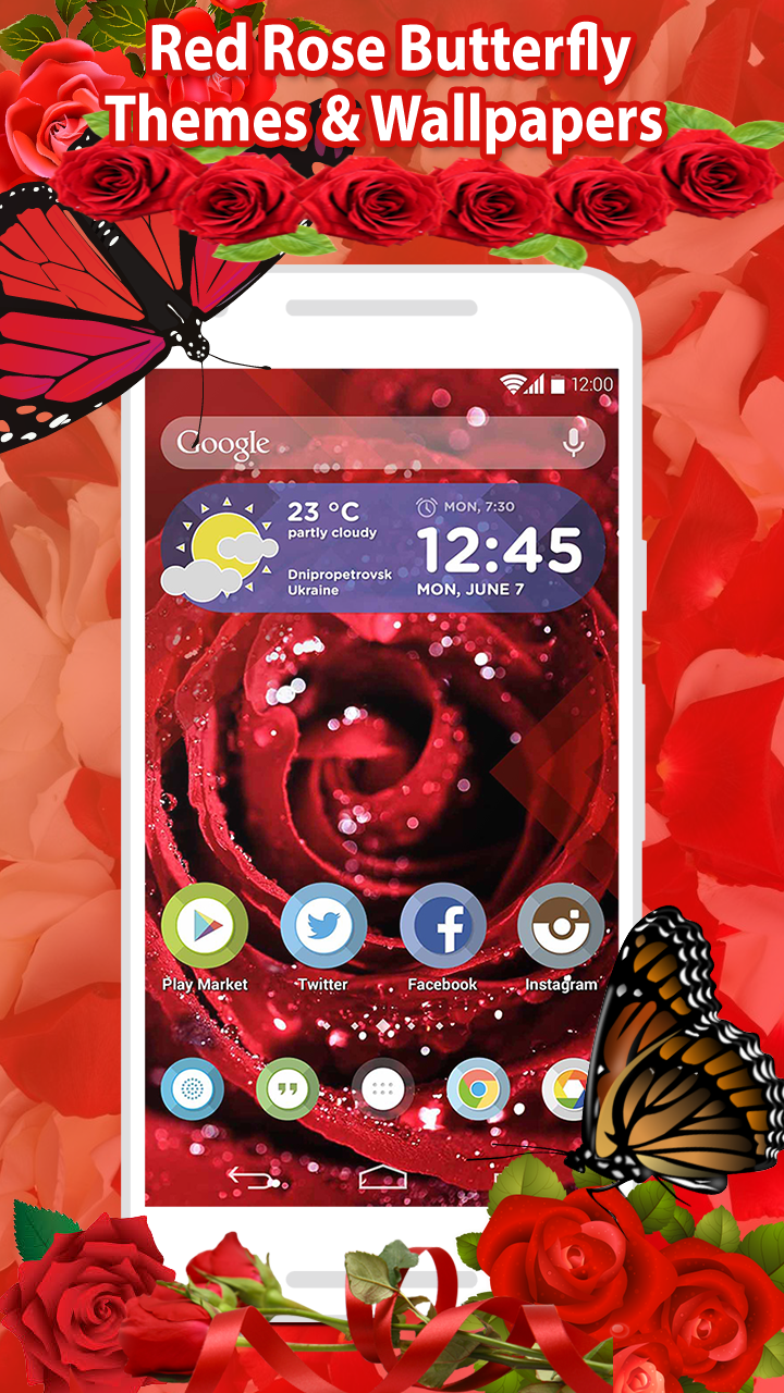 Скриншот Красная роза Бабочка цветы темы и обои