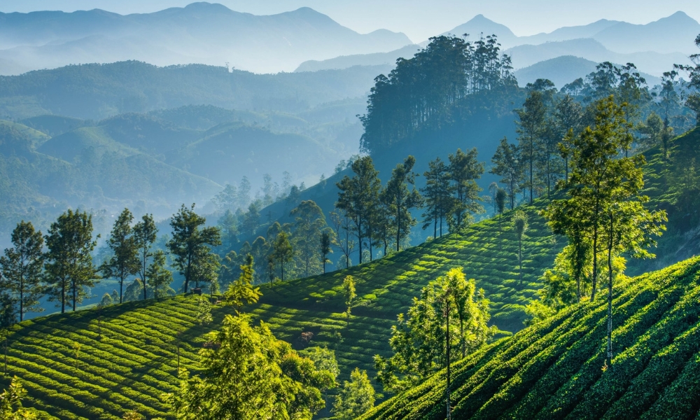 Serene Kerala