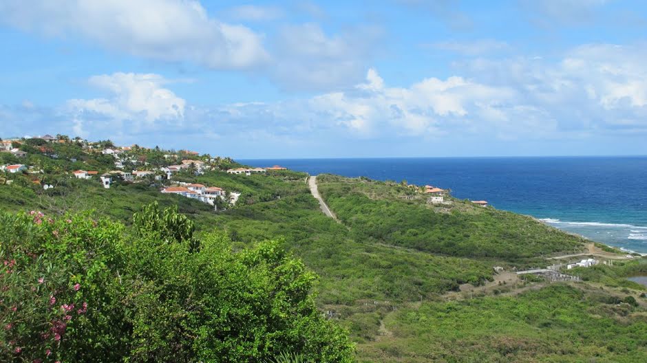 Vente terrain  76080.9 m² à Saint-Martin (97150), 5 500 000 €