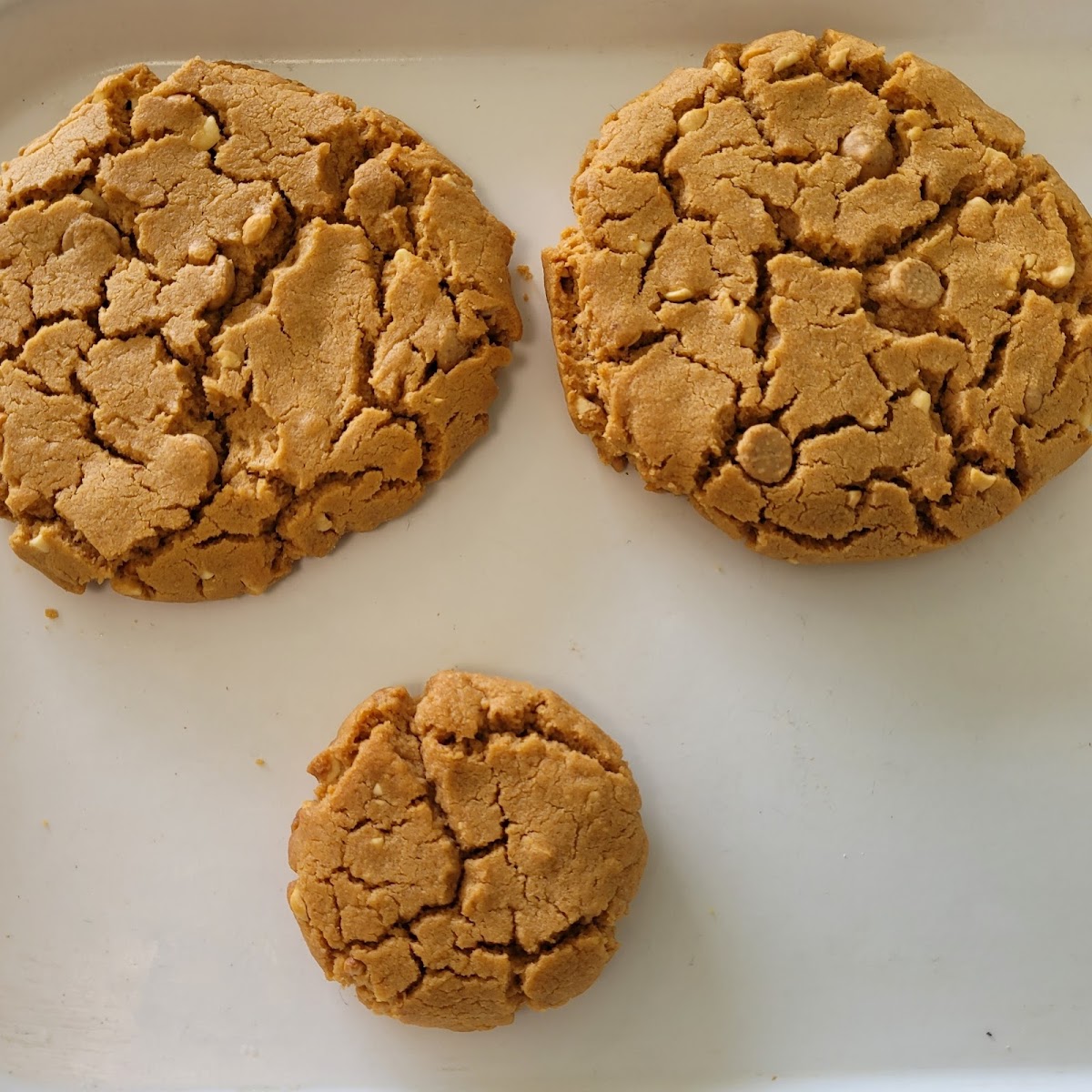 PB Cookies