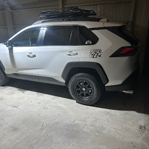 RAV4 MXAA54