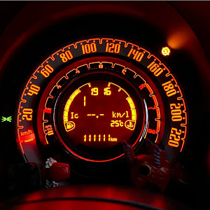500 31209