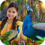 Cover Image of Download Peacock Photo Frame : Garnish your photos 1.2 APK