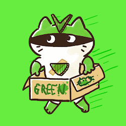 Running Box Cat #0075