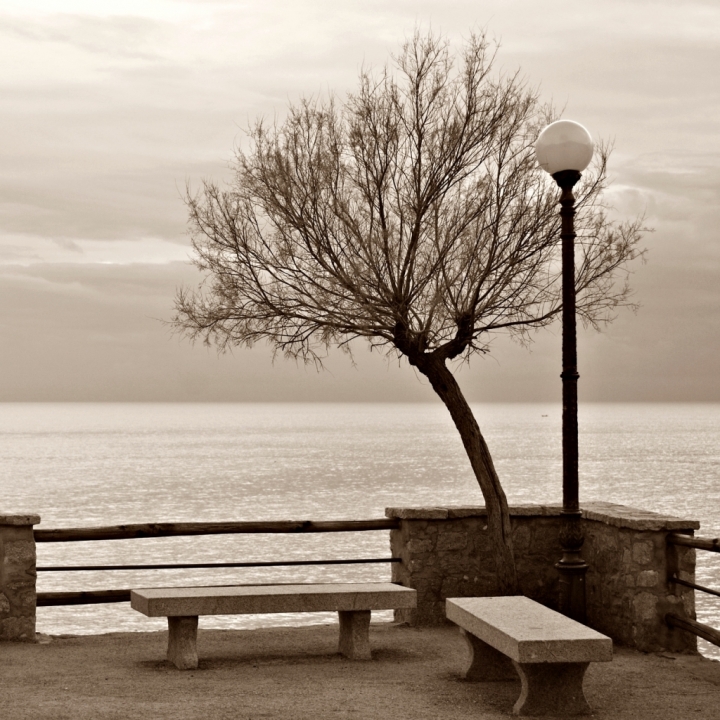 Il mare d'inverno di sforzial