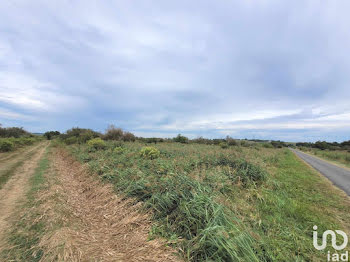 terrain à Saint-Bonnet-sur-Gironde (17)