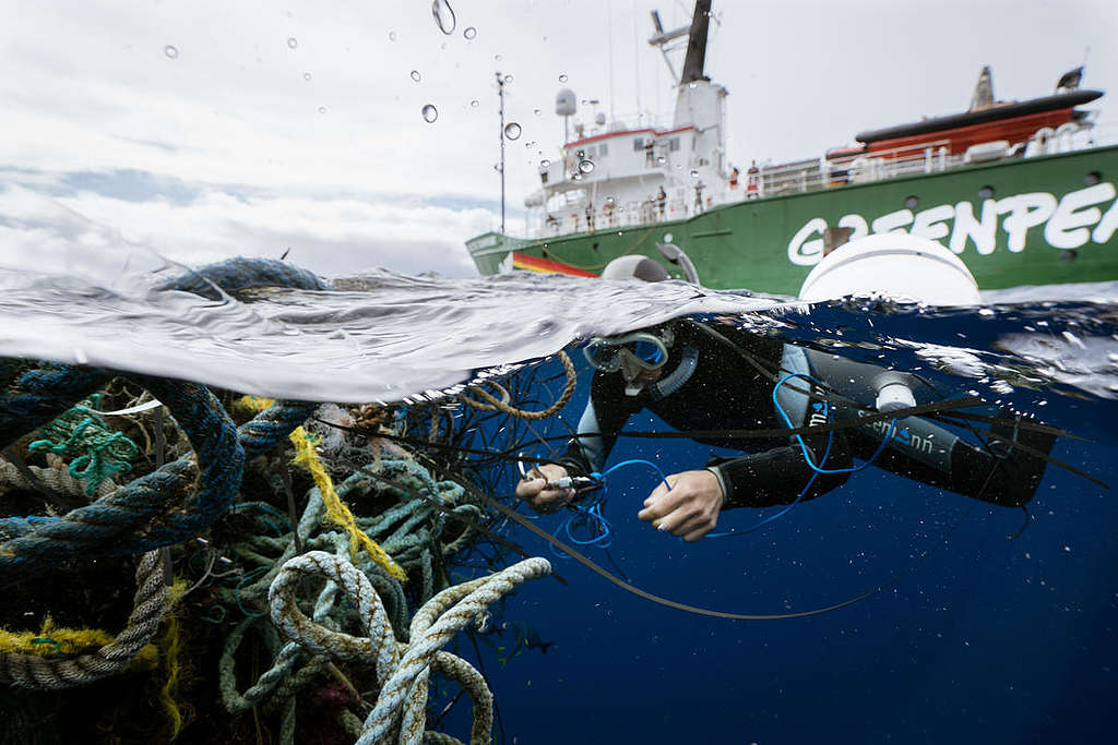 Ghost fishing nets in the Great Pacific Garbage Patch © Justin Hofman / Greenpeace Ghost fishing nets in the Great Pacific Garbage Patch © Justin Hofman / Greenpeace