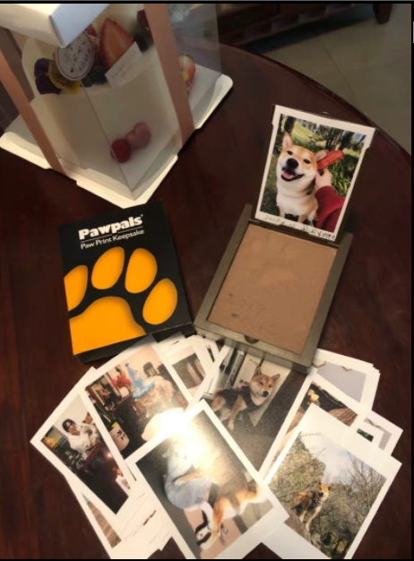 Permanently Save Pet Dogs, Cats and Dogs. Ensure your pet's health and wellbeing and provide a long, happy life for dogs