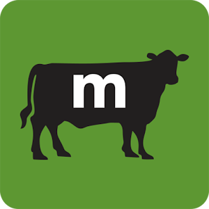 meatheads logo