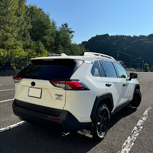 RAV4 AXAH54